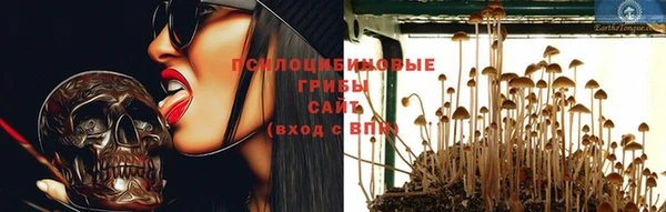 таблы Алзамай